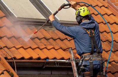 Démoussage et hydrofuge de toiture à Cocumont
